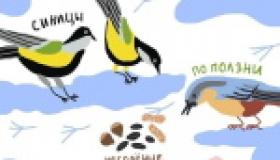 Покормите птиц зимой - спасите жизни!